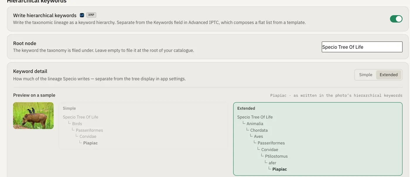 Sync settings in Specio, with a preview of the Simple and Extended keyword hierarchies for a Piapiac