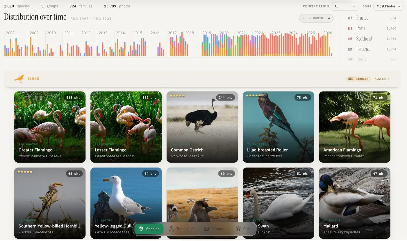 Specio's catalogue in Species view: bird cards grouped under "Birds", each with a cover photo, common and Latin names and a photo count
