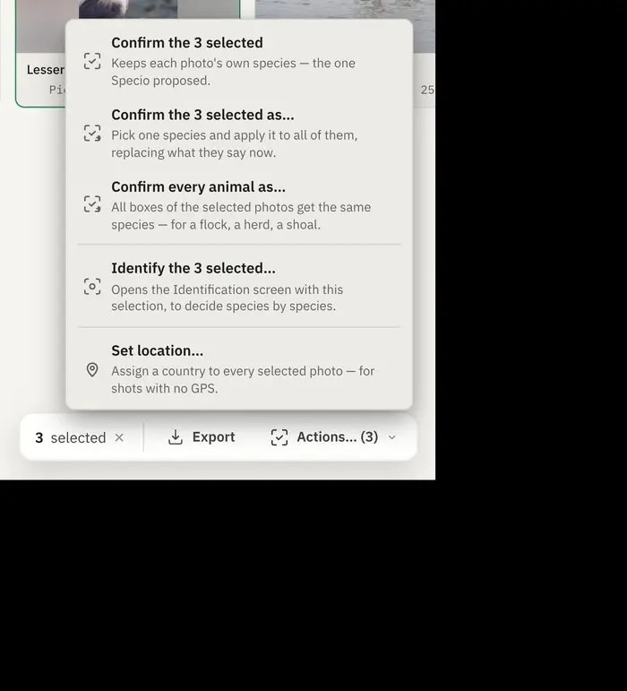 The Actions menu on a selection of three photos, each entry explaining on its second line what it does