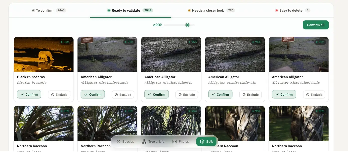The Bulk view: the four confidence tabs, the threshold slider and "Confirm all", above cards of identified animals