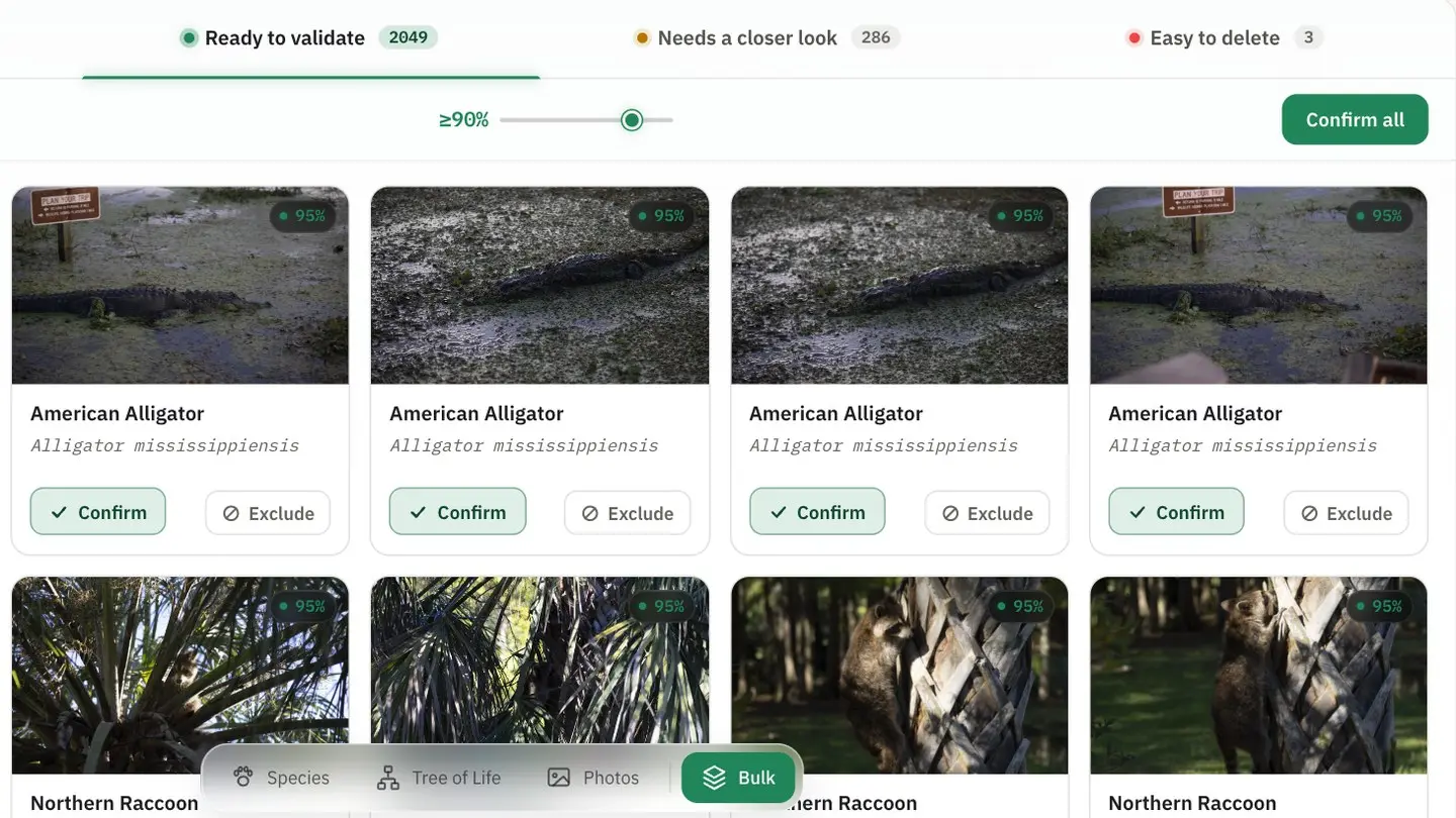 Specio's Bulk view on the "Ready to validate" tab: a 90% confidence slider, a "Confirm all" button, and cards of American Alligators and Northern Raccoons with Confirm and Exclude buttons
