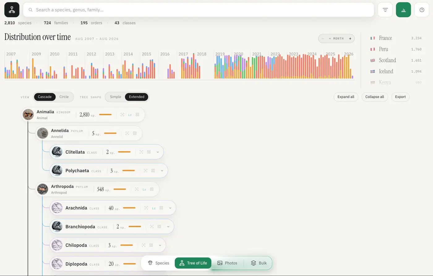 The Tree of Life view: counters for species, families, orders and classes, the timeline, and the cascading tree from Animalia down to classes