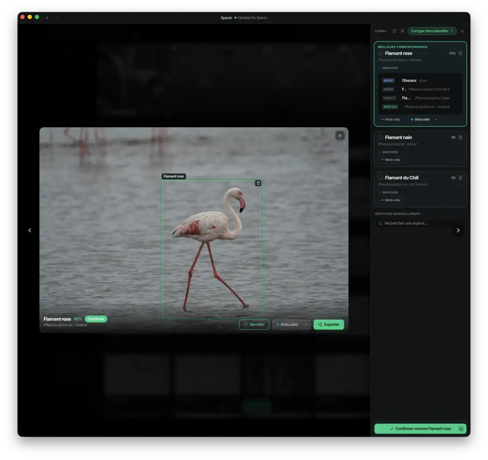Specio identification studio