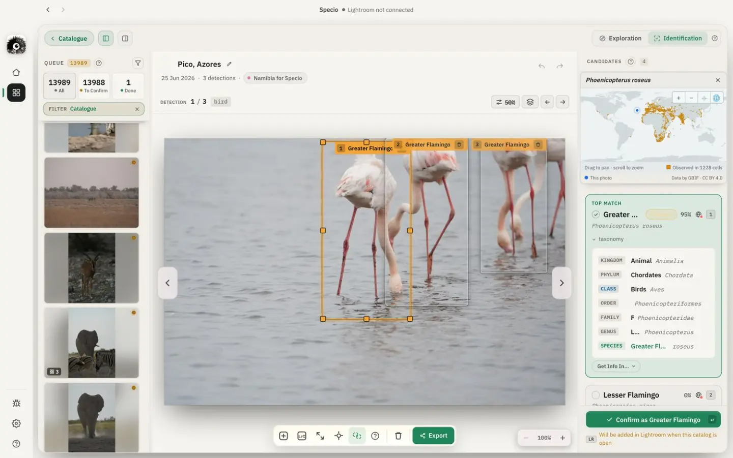 Lightroom Classicの横で、写真に写った鳥を識別しているSpecio。